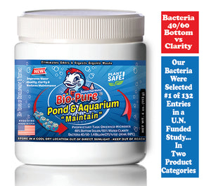 Bio-Pure Pond & Aquarium MAINTAIN 4 oz. treats up to 15,000. gallons
